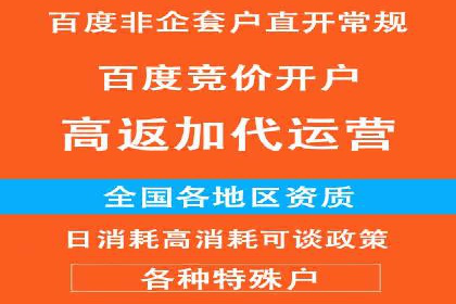 百度推广代运营公司成功案例：精准投放广告的秘诀
